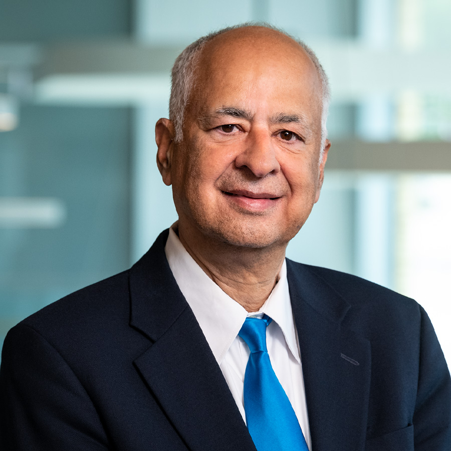 Professor Sunder Kekre